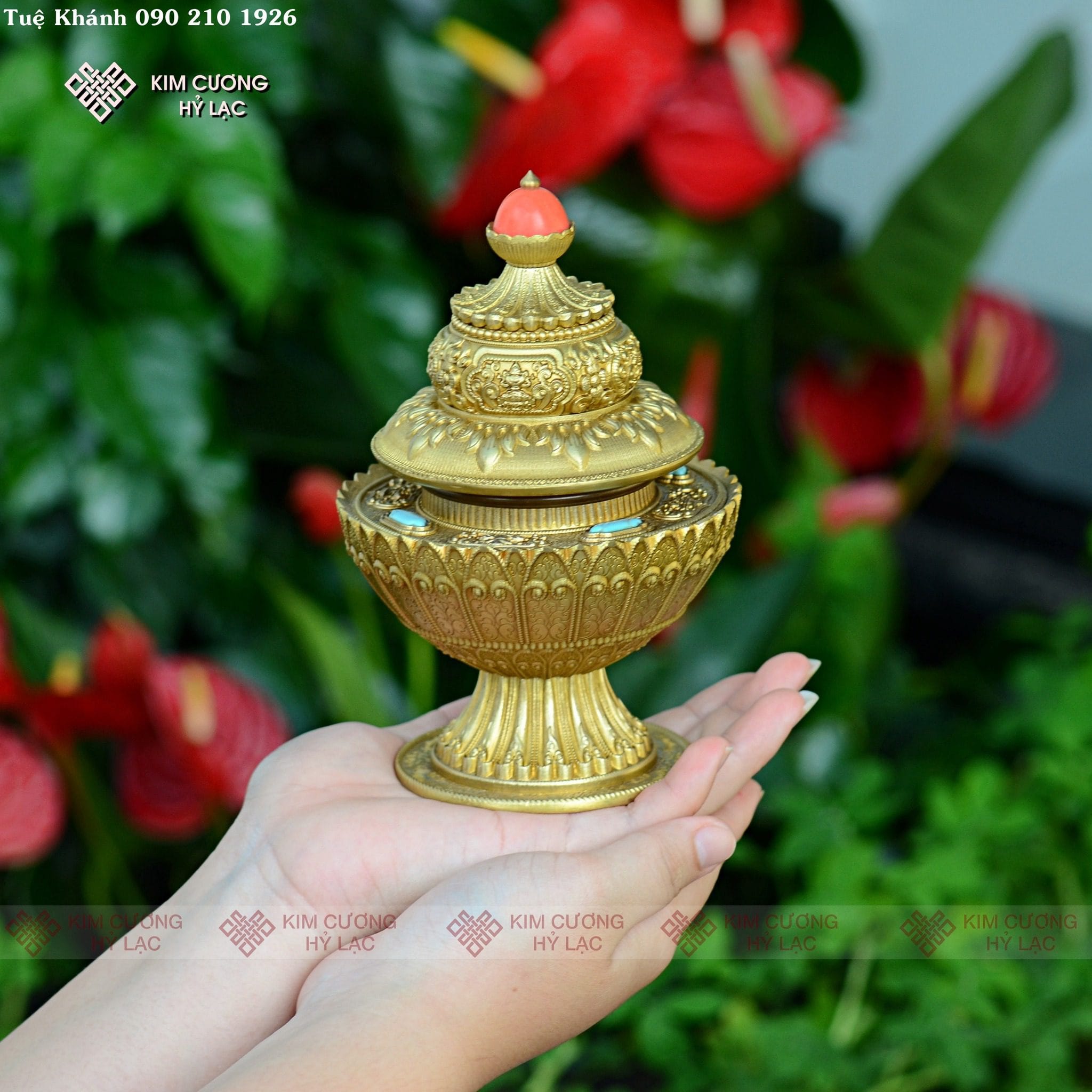 Vỏ Bảo Bình Đồng 2 vỏ bảo bình đồng